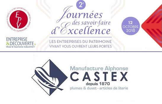 Castex participe aux Journées EPV